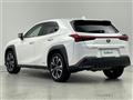 2019 Lexus UX