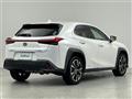 2019 Lexus UX