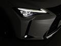 2019 Lexus UX