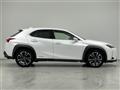 2019 Lexus UX