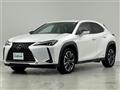 2019 Lexus UX