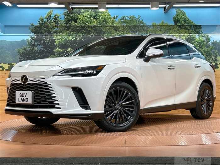 2023 Lexus RX