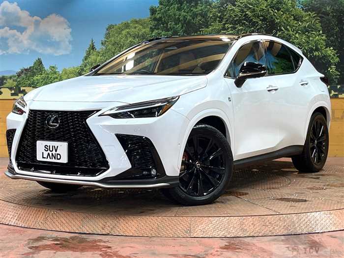 2024 Lexus NX