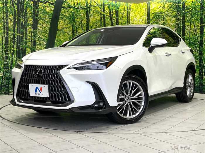 2023 Lexus NX