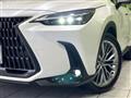 2023 Lexus NX