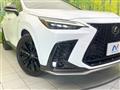 2023 Lexus NX