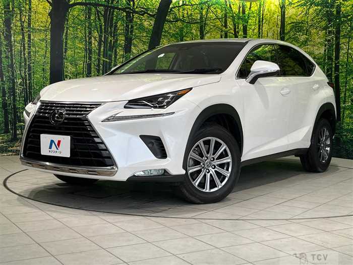 2018 Lexus NX
