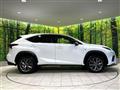2020 Lexus NX