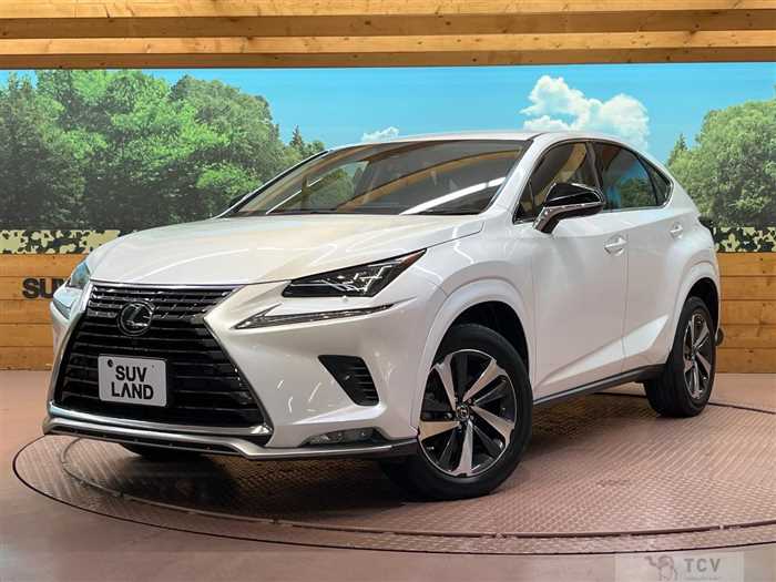 2021 Lexus NX