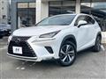 2018 Lexus NX