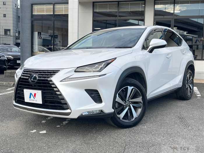 2018 Lexus NX