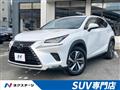 2018 Lexus NX
