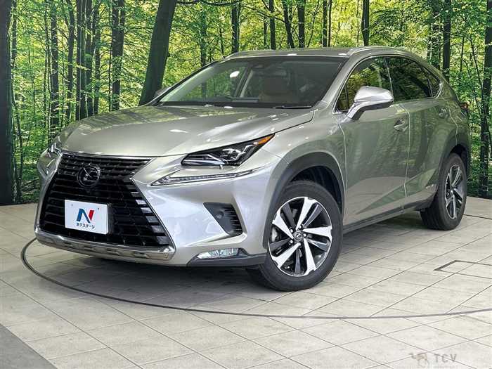 2018 Lexus NX