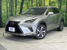 2018 Lexus NX