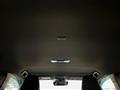 2025 Lexus Other