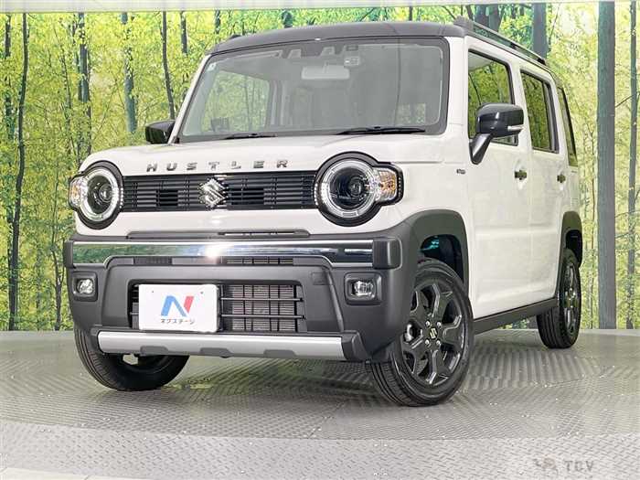 2025 Suzuki Hustler
