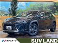 2021 Lexus Other