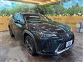 2021 Lexus Other