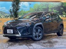 2021 Lexus Other