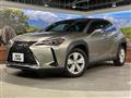 2019 Lexus Other