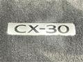 2021 Mazda CX-3