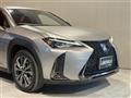 2019 Lexus UX