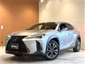 2019 Lexus UX