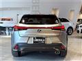 2019 Lexus UX