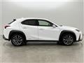 2021 Lexus UX