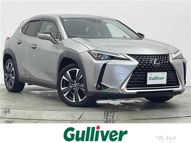 2019 Lexus UX