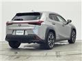 2019 Lexus UX