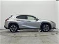 2019 Lexus UX