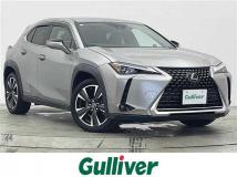 2019 Lexus UX