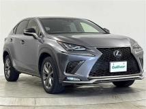 2019 Lexus NX