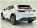 2019 Lexus UX