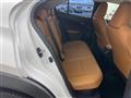 2019 Lexus UX