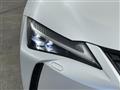 2019 Lexus UX