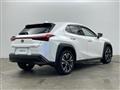 2019 Lexus UX
