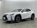 2019 Lexus UX