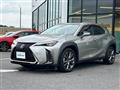 2019 Lexus UX