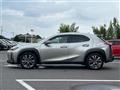 2019 Lexus UX