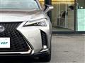 2019 Lexus UX