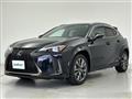2019 Lexus UX
