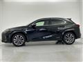2019 Lexus UX