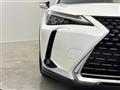 2019 Lexus UX