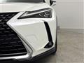 2019 Lexus UX