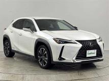 2019 Lexus UX