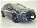 2021 Lexus UX