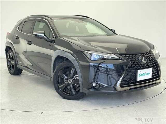 2021 Lexus UX