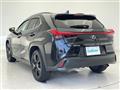 2021 Lexus UX